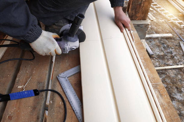 Best Stone Veneer Siding  in Bloomington, MN